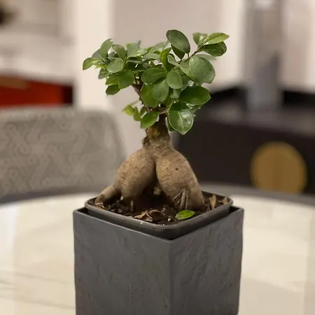 Διαμέρισμα April 18 *